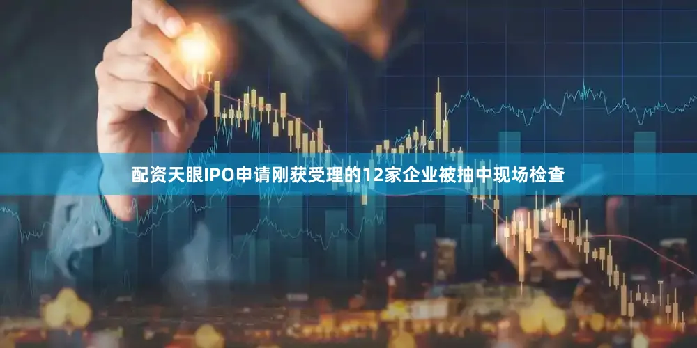 配资天眼IPO申请刚获受理的12家企业被抽中现场检查