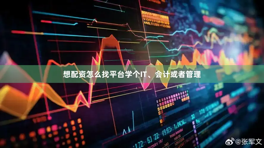 想配资怎么找平台学个IT、会计或者管理