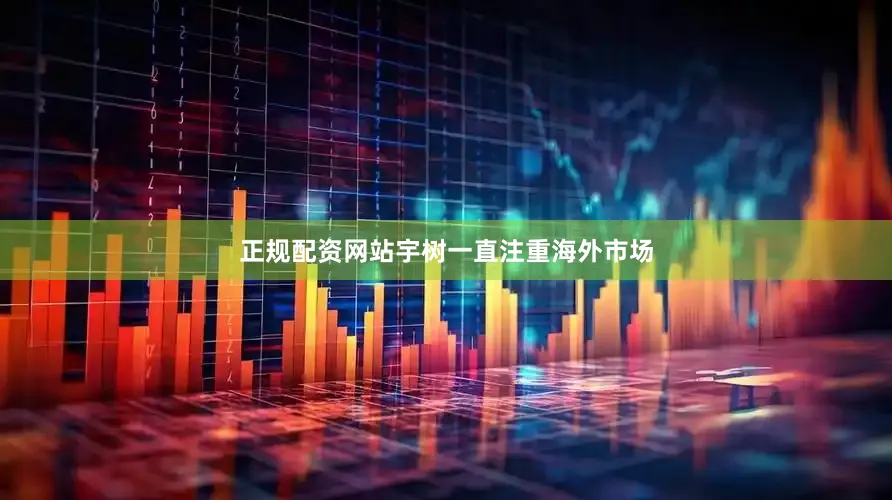 正规配资网站宇树一直注重海外市场