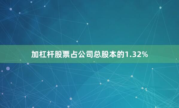 加杠杆股票占公司总股本的1.32%