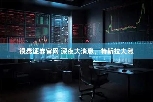 银泰证券官网 深夜大消息，特斯拉大涨