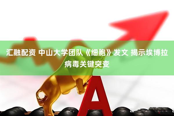 汇融配资 中山大学团队《细胞》发文 揭示埃博拉病毒关键突变